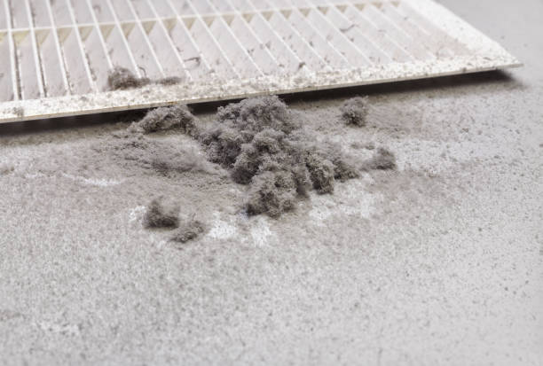 Best Air Duct Inspection  in Schriever, LA