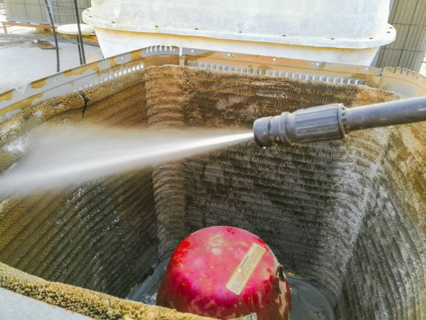 Best Air Duct Mold Removal  in Schriever, LA