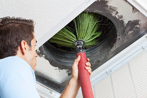 Best Affordable Air Duct Cleaning  in Schriever, LA